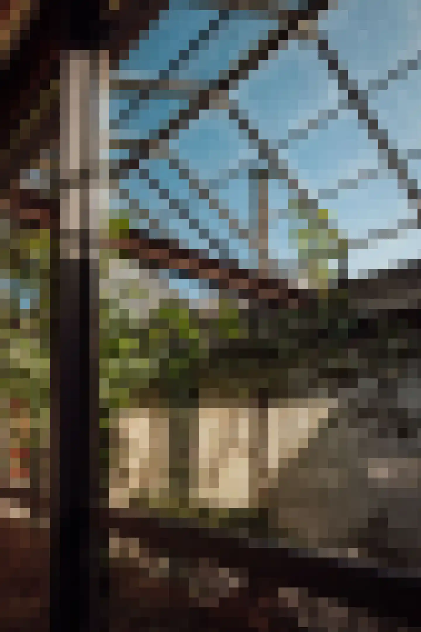 Brandestraat 20 Geertruidenberg thumbnail 87
