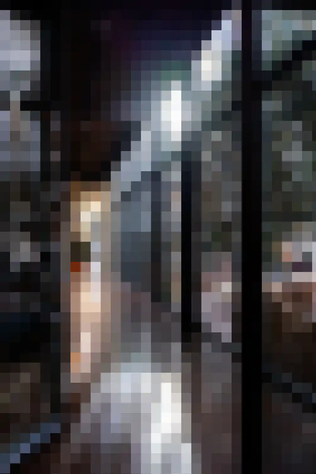 Brandestraat 20 Geertruidenberg thumbnail 88
