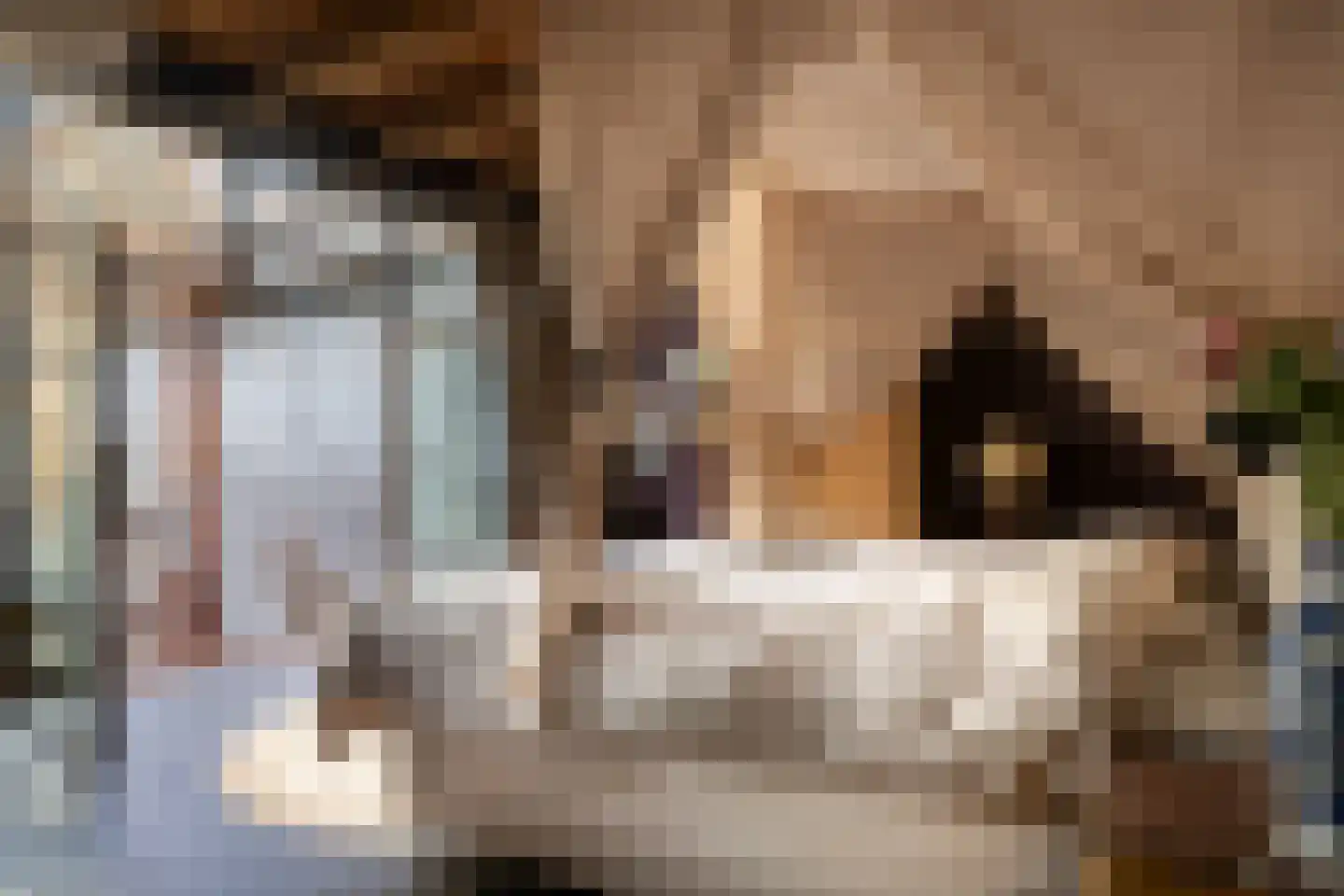 Brandestraat 20 Geertruidenberg thumbnail 90