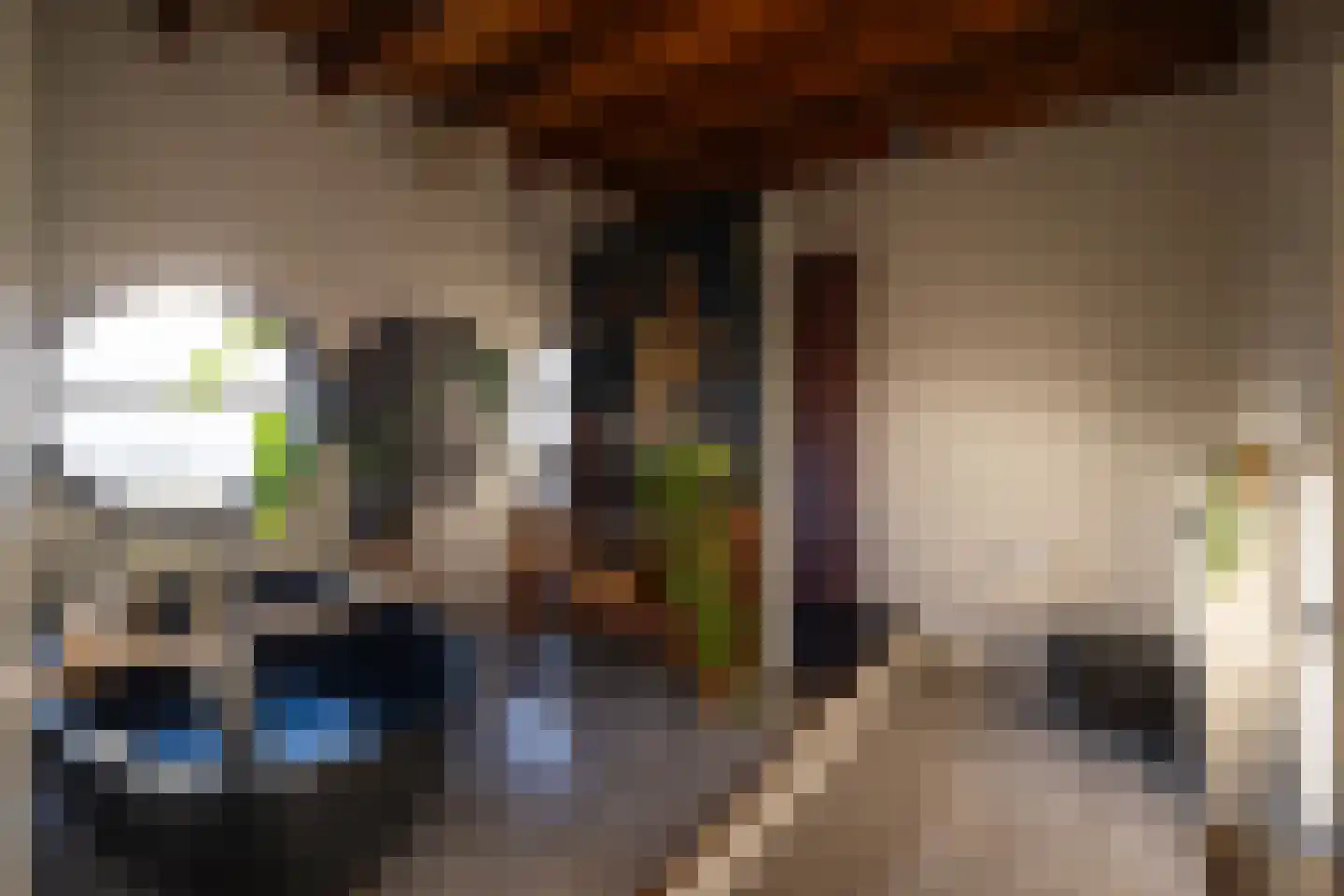 Brandestraat 20 Geertruidenberg thumbnail 92