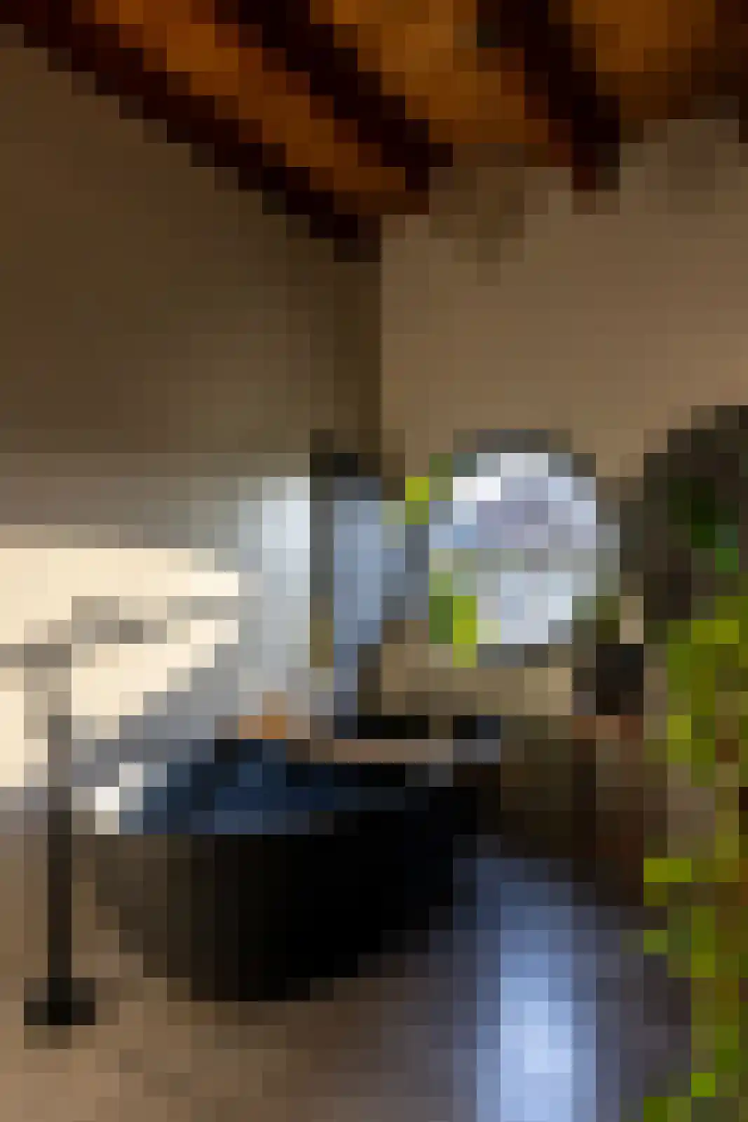 Brandestraat 20 Geertruidenberg thumbnail 93