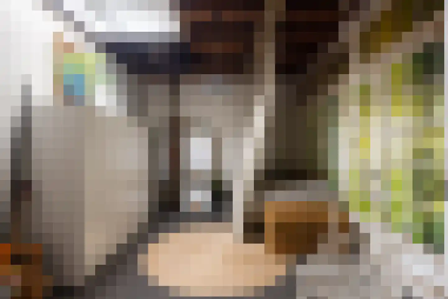 Brandestraat 20 Geertruidenberg thumbnail 98