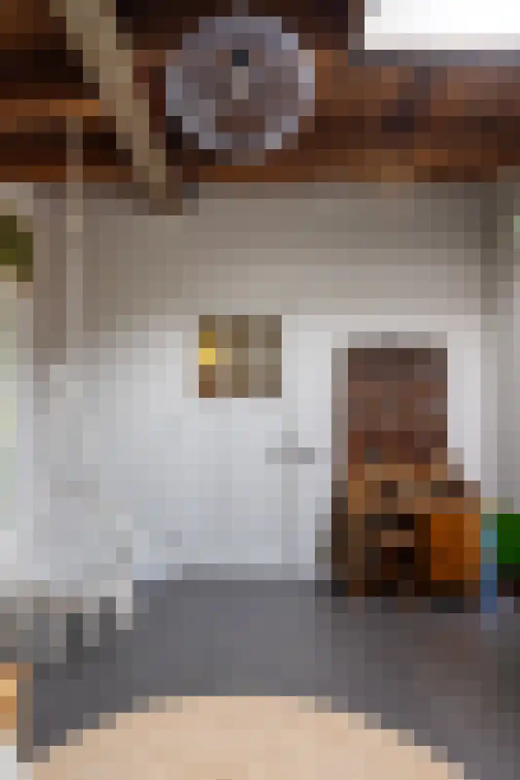 Brandestraat 20 Geertruidenberg thumbnail 99