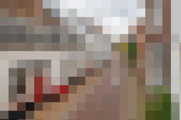 Brandestraat 23 Geertruidenberg thumbnail 10