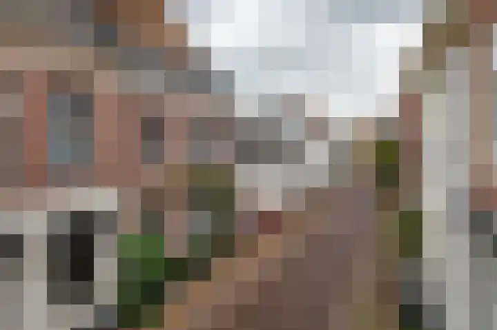 Brandestraat 23 Geertruidenberg thumbnail 11