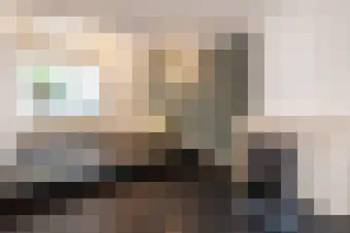 Brandestraat 23 Geertruidenberg thumbnail 15