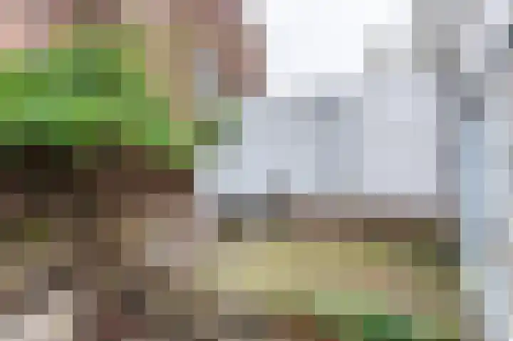Brandestraat 23 Geertruidenberg thumbnail 17