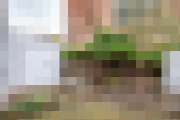 Brandestraat 23 Geertruidenberg thumbnail 18