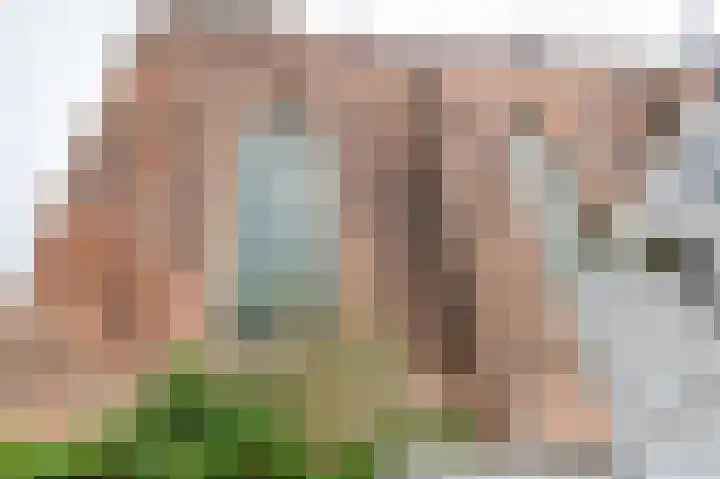 Brandestraat 23 Geertruidenberg thumbnail 19