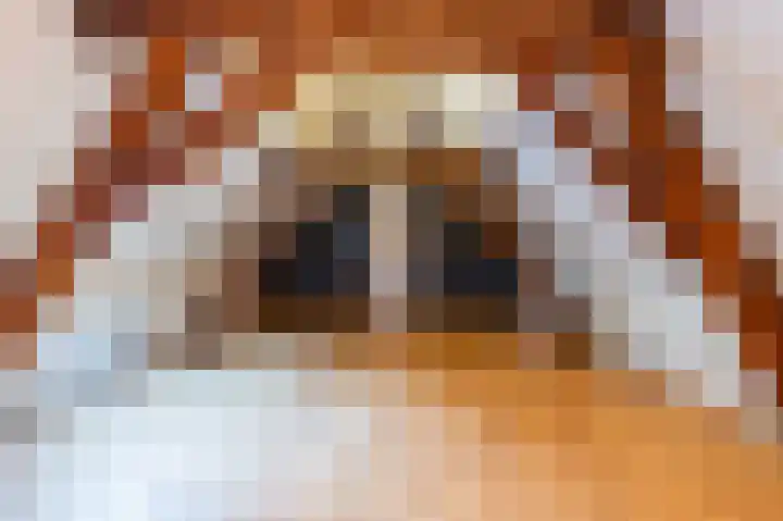 Brandestraat 23 Geertruidenberg thumbnail 4