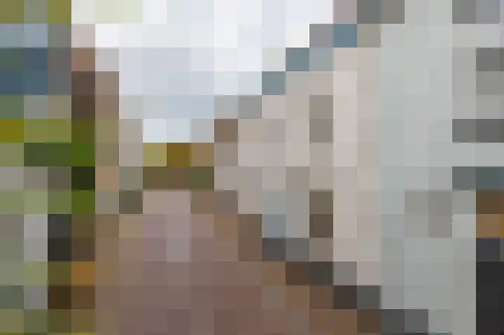 Brandestraat 23 Geertruidenberg thumbnail 8