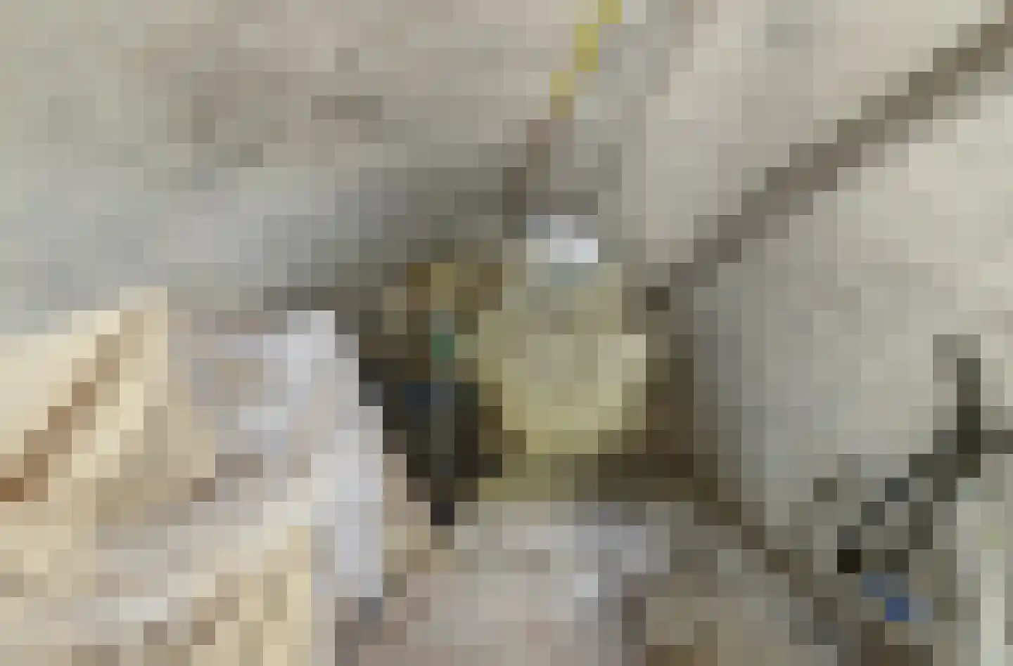Brandestraat 26 Geertruidenberg thumbnail 22