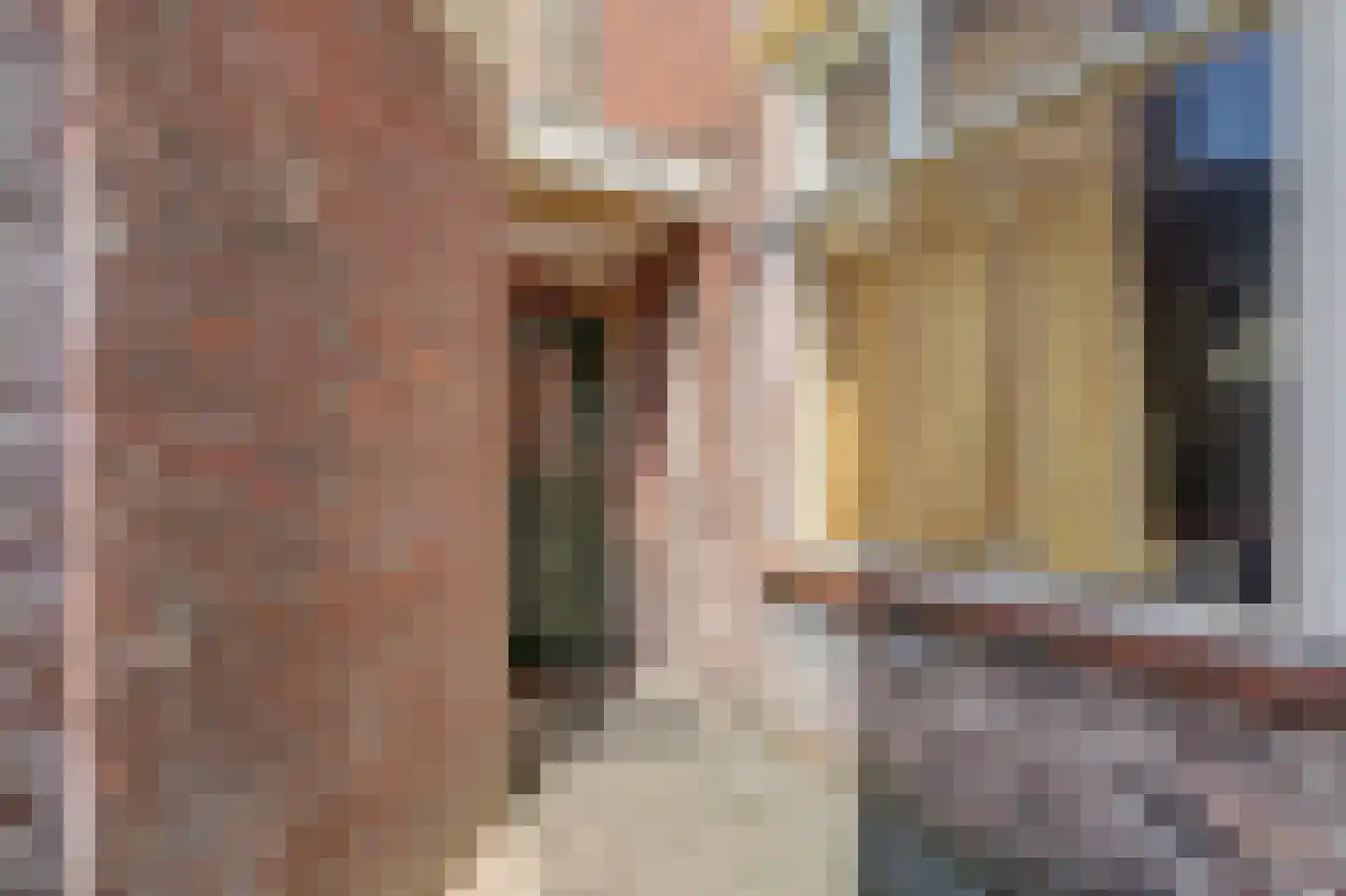 Brandestraat 26 Geertruidenberg thumbnail 27
