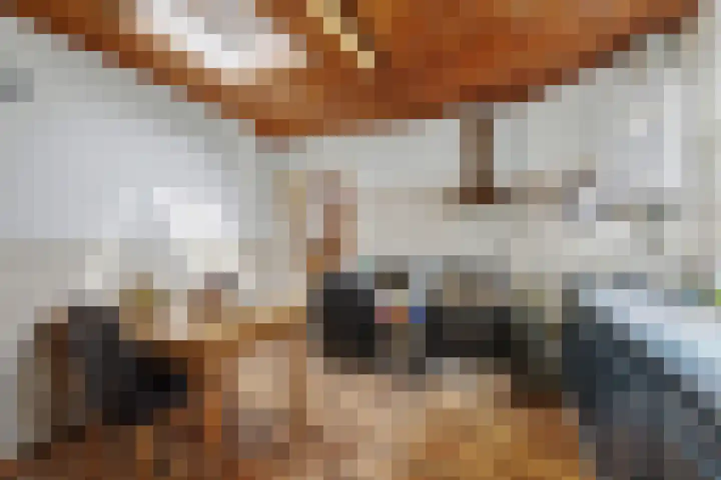 Brandestraat 26 Geertruidenberg thumbnail 9