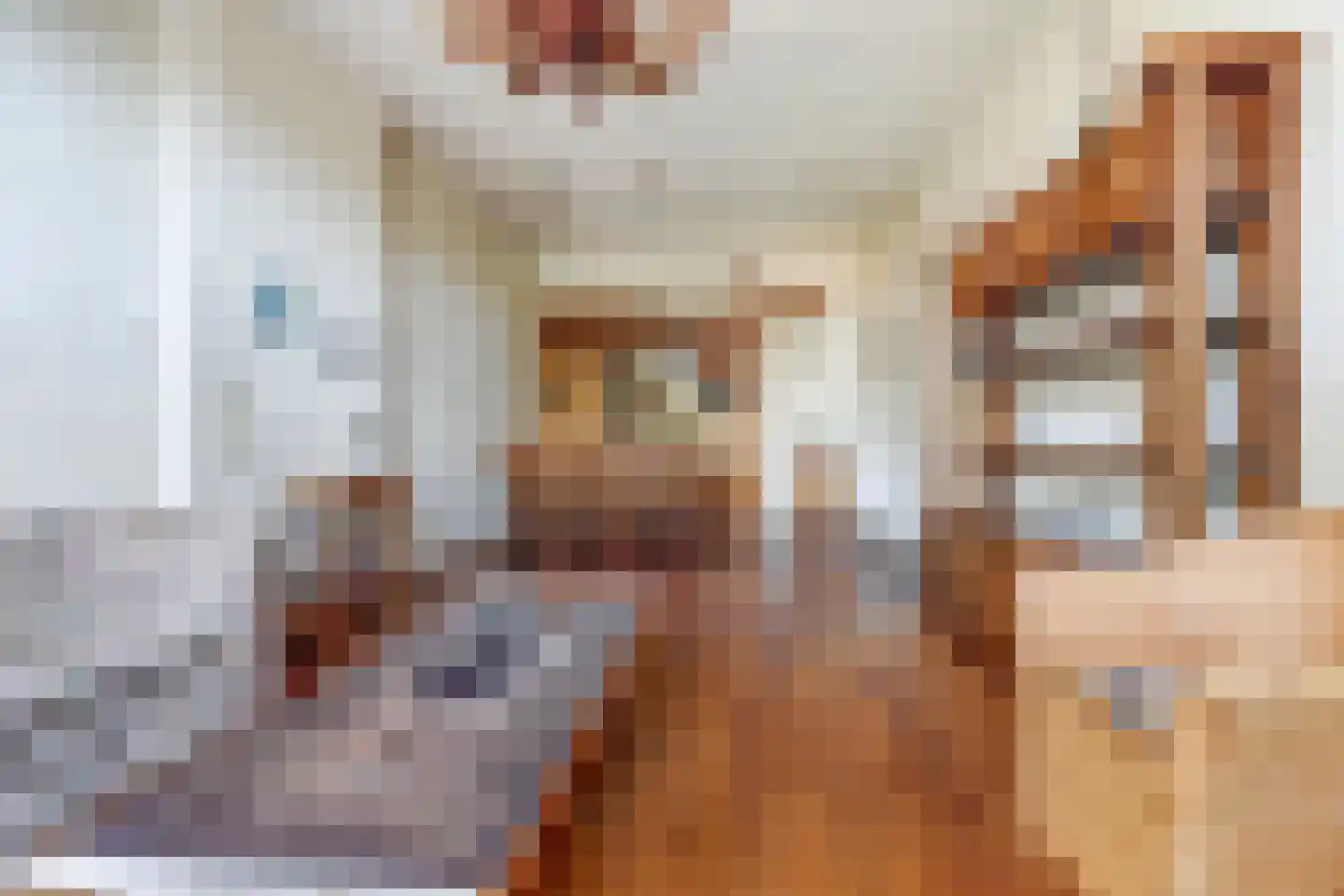 Brandestraat 28 Geertruidenberg thumbnail 10