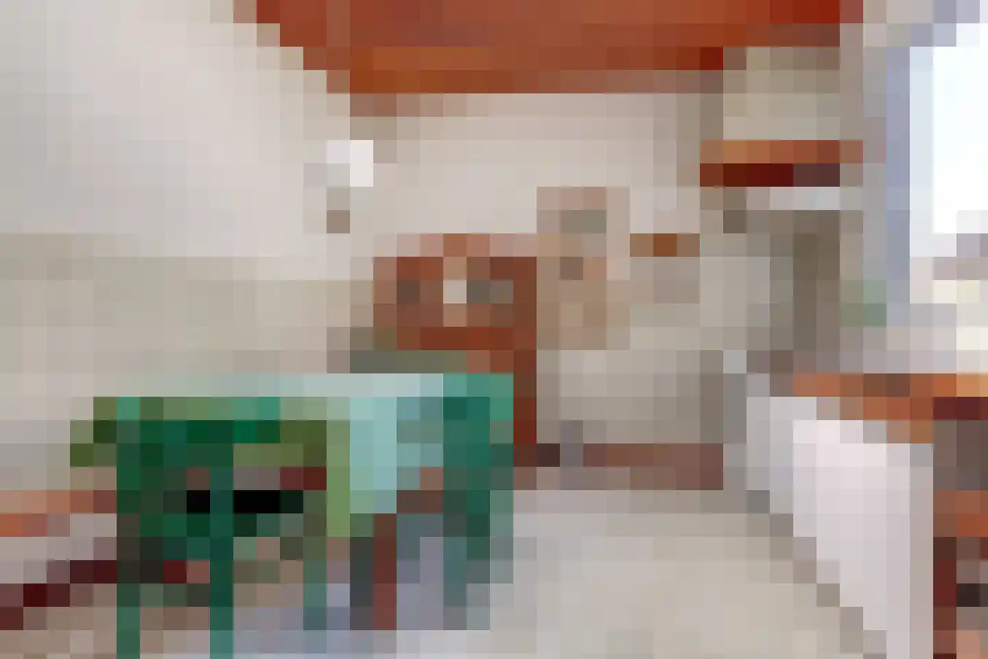 Brandestraat 28 Geertruidenberg thumbnail 13
