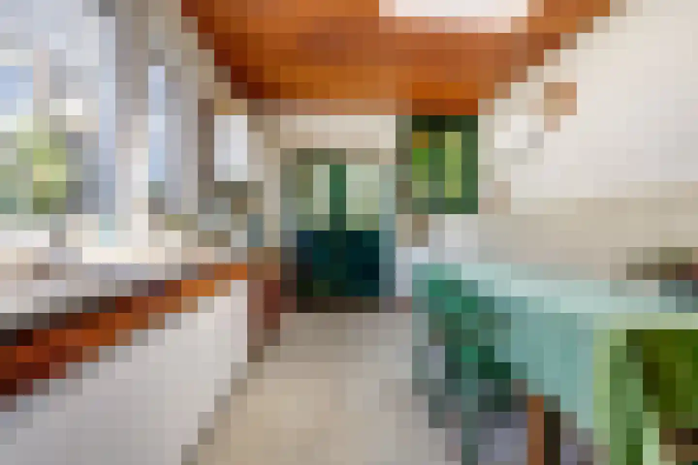 Brandestraat 28 Geertruidenberg thumbnail 14