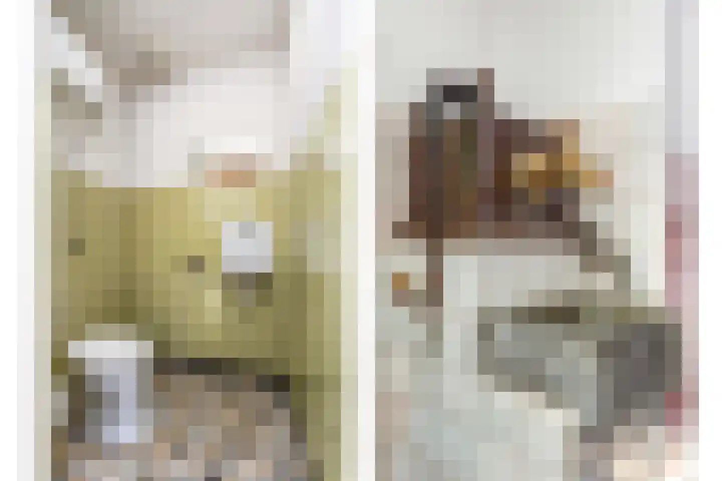 Brandestraat 28 Geertruidenberg thumbnail 17