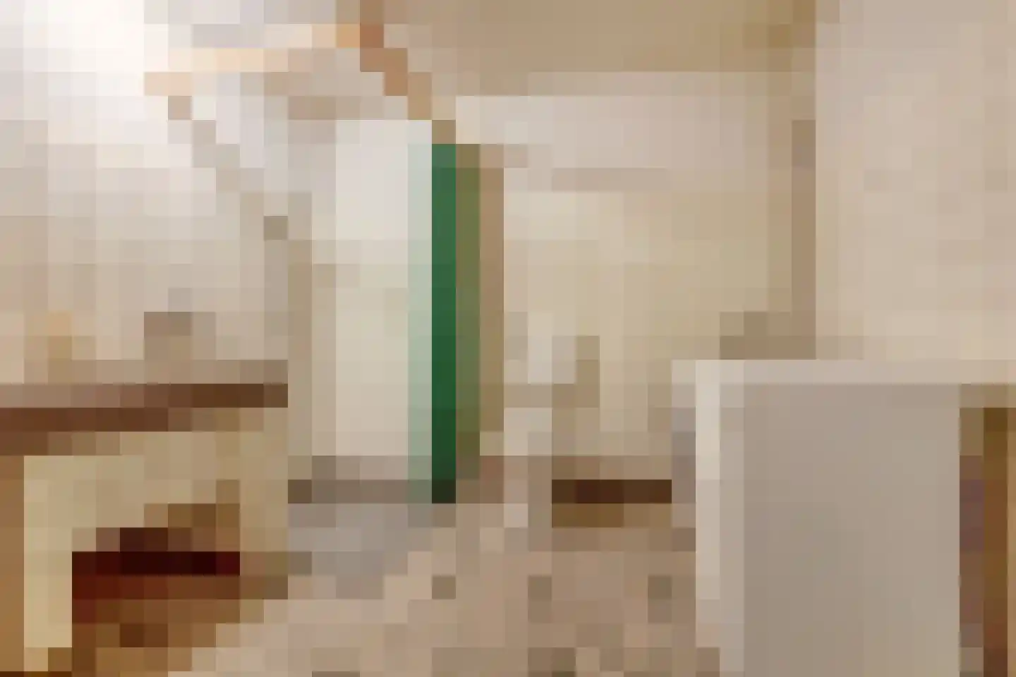 Brandestraat 28 Geertruidenberg thumbnail 19