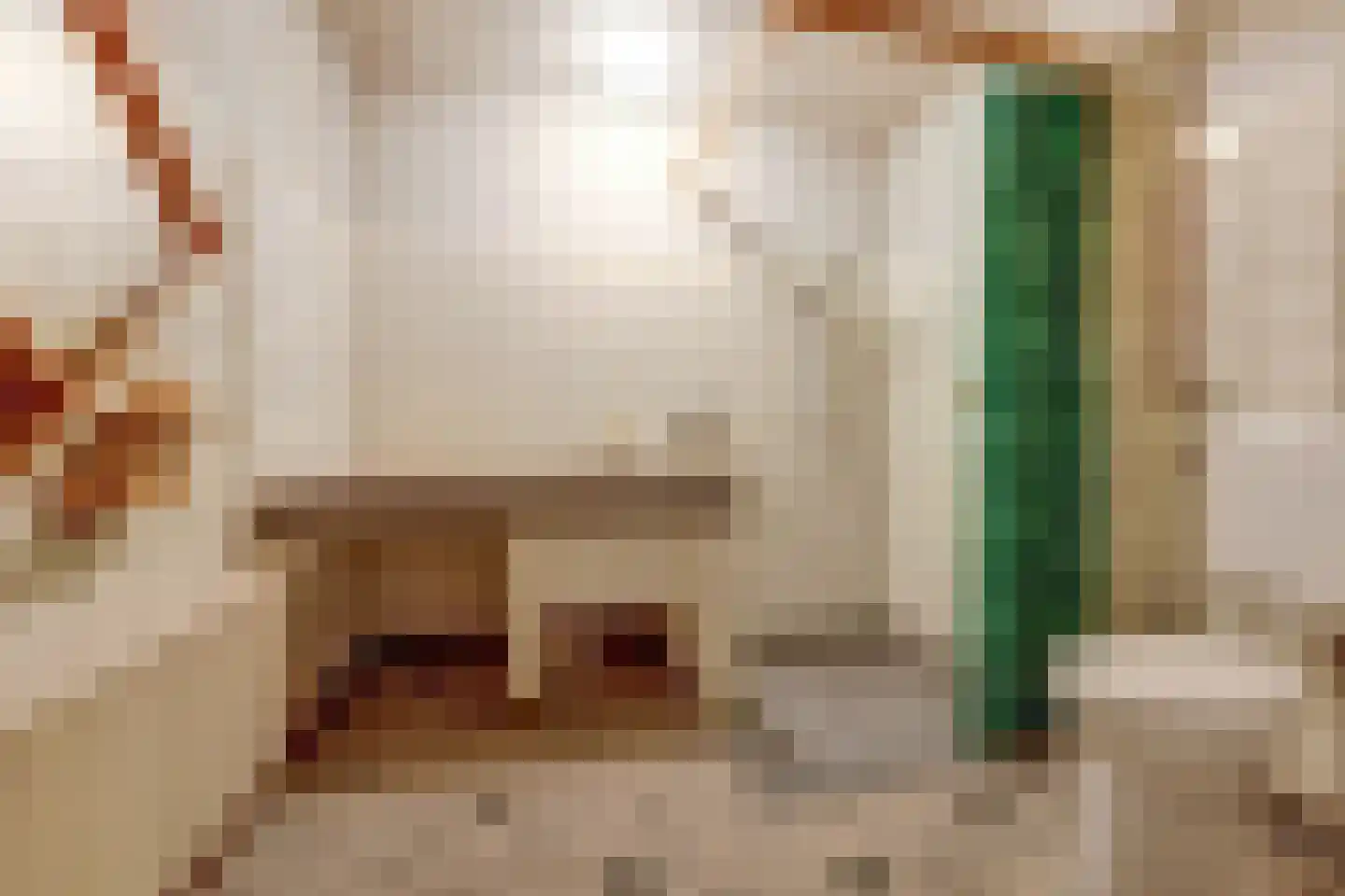 Brandestraat 28 Geertruidenberg thumbnail 20