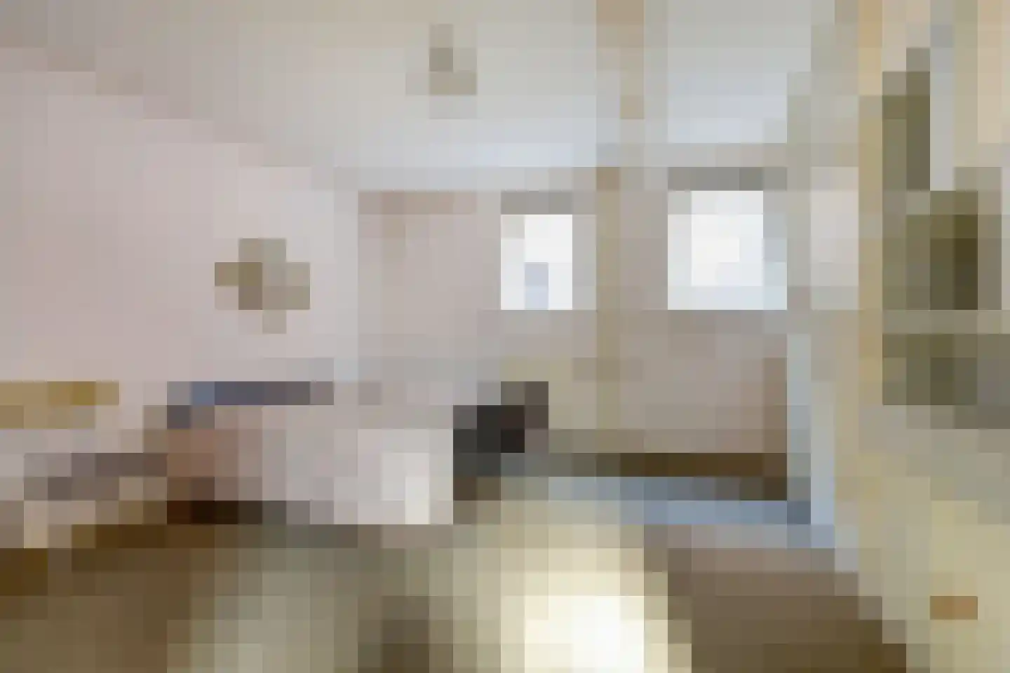 Brandestraat 28 Geertruidenberg thumbnail 24