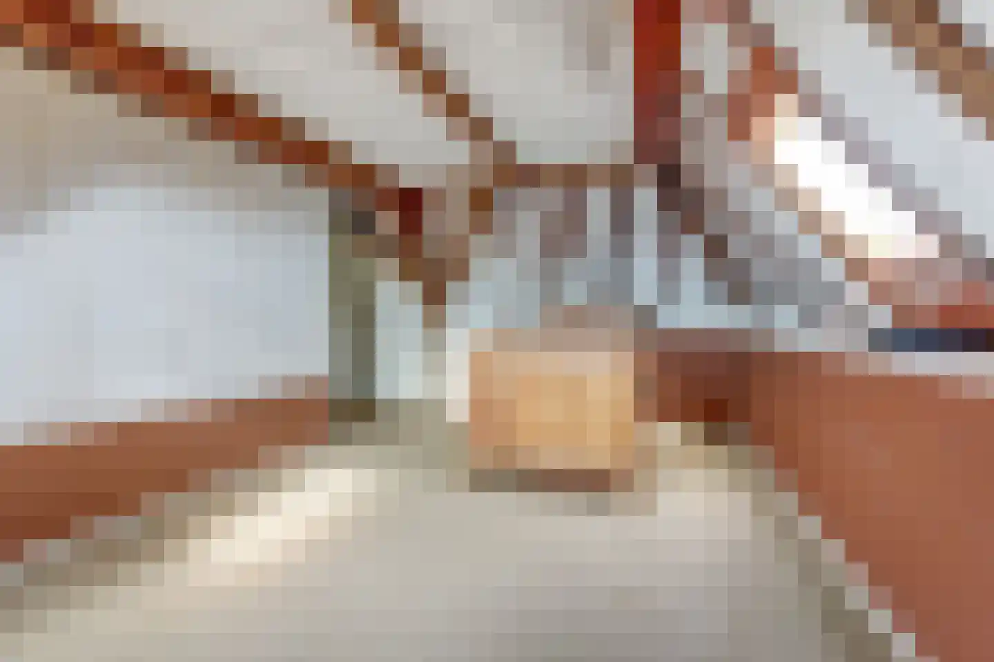 Brandestraat 28 Geertruidenberg thumbnail 30
