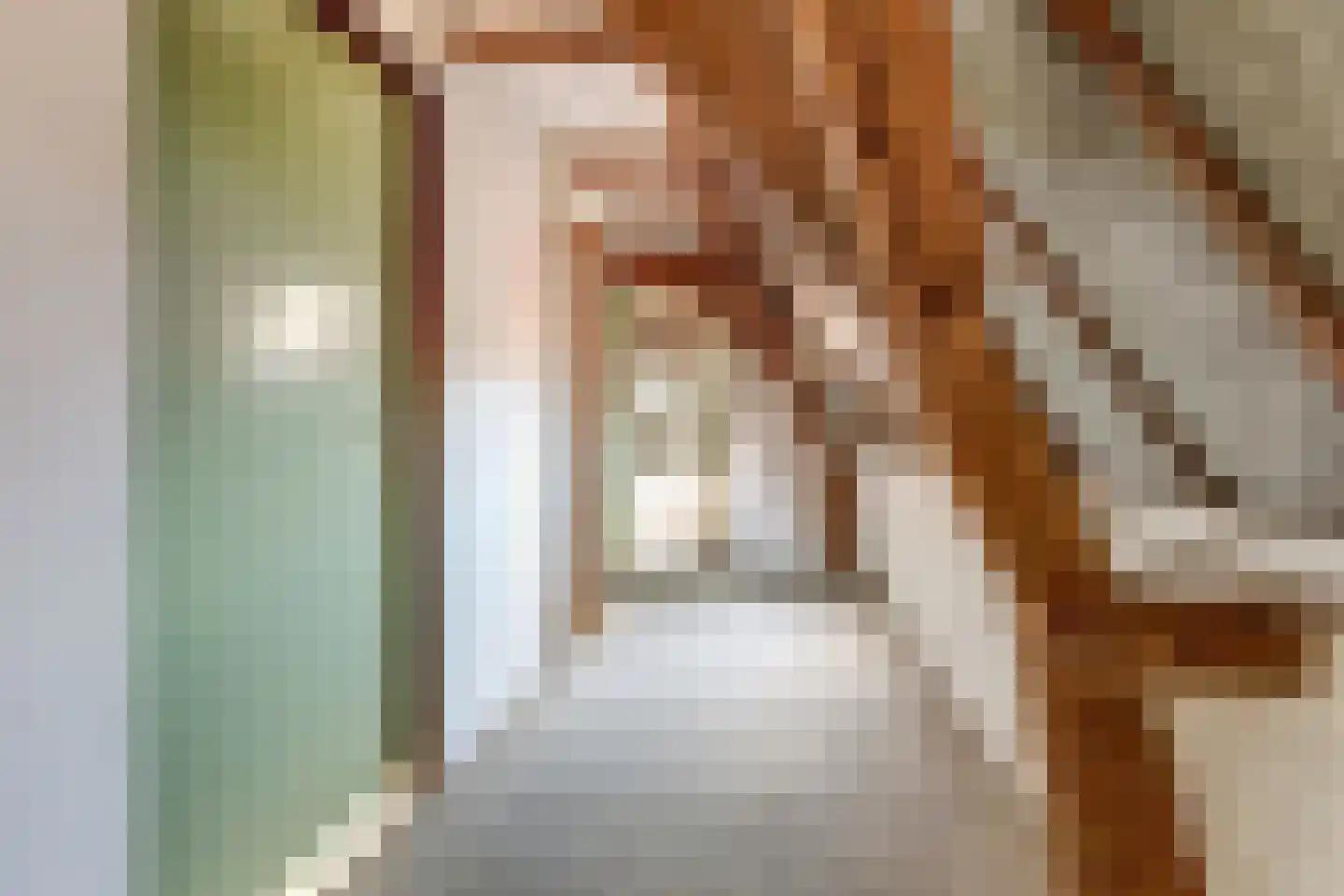 Brandestraat 28 Geertruidenberg thumbnail 31