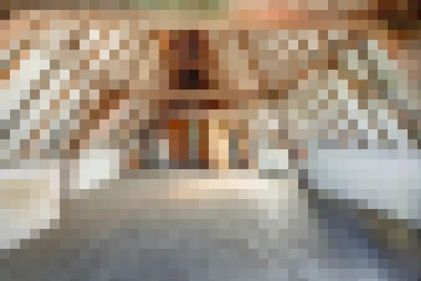 Brandestraat 28 Geertruidenberg thumbnail 33