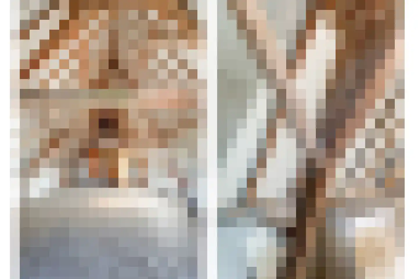 Brandestraat 28 Geertruidenberg thumbnail 34