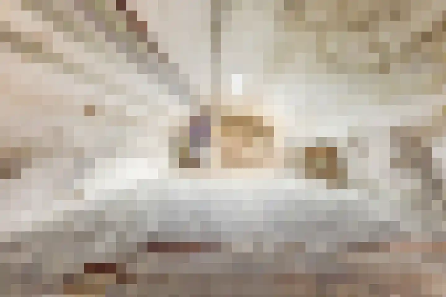 Brandestraat 28 Geertruidenberg thumbnail 37