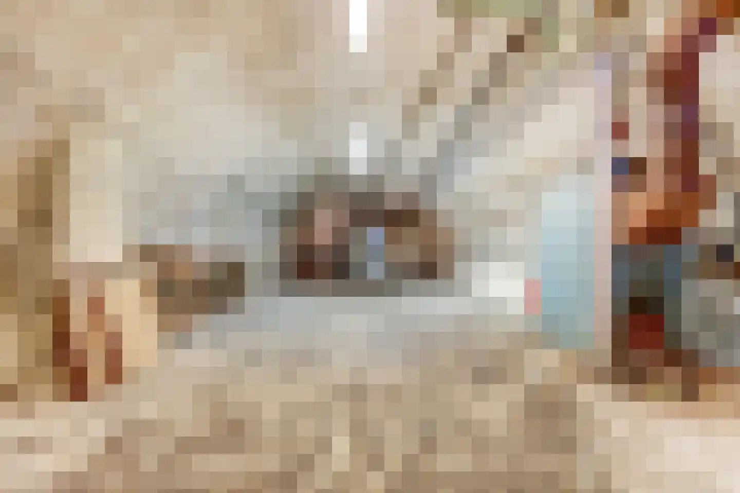 Brandestraat 28 Geertruidenberg thumbnail 38