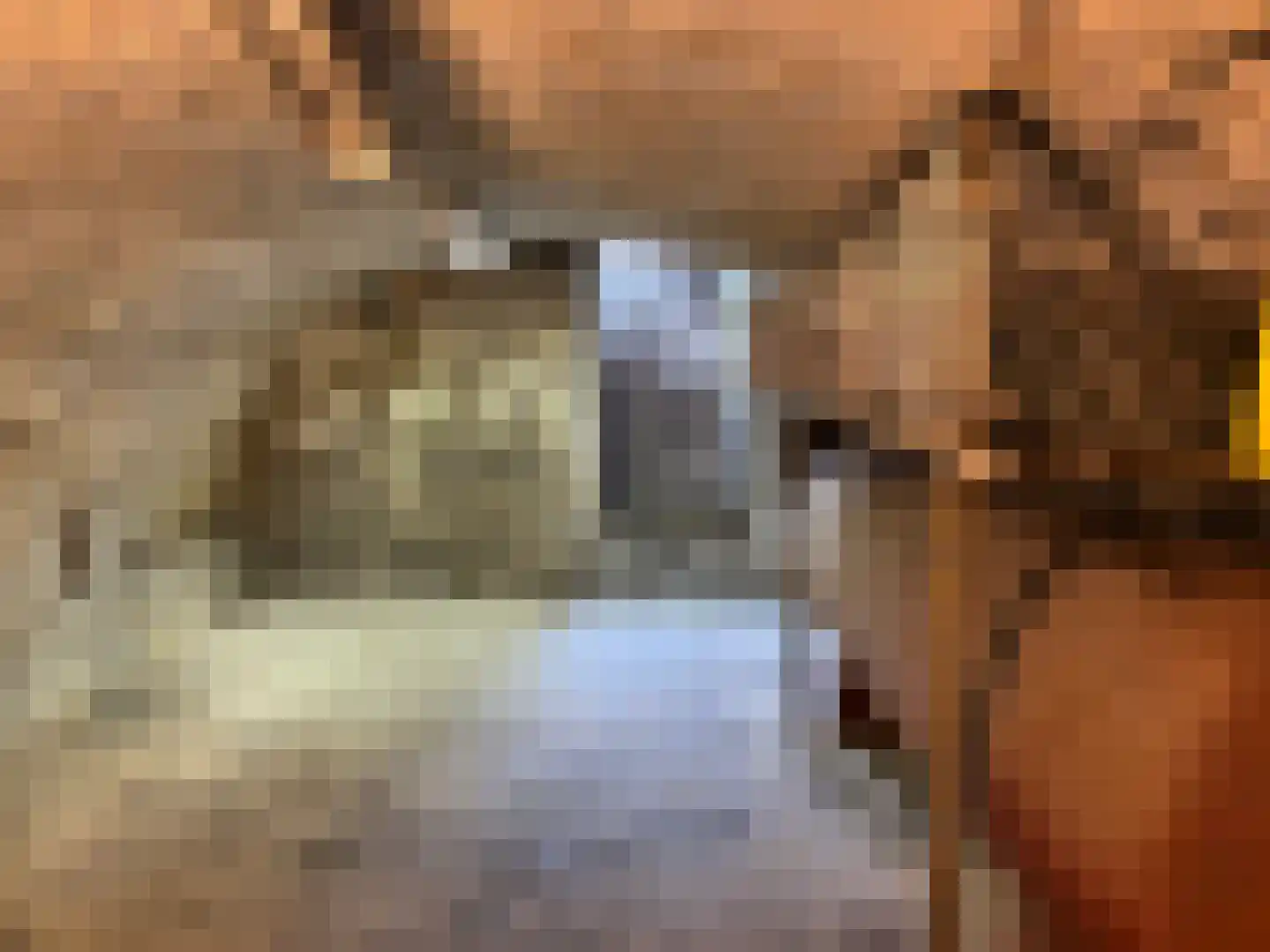 Brandestraat 28 Geertruidenberg thumbnail 39