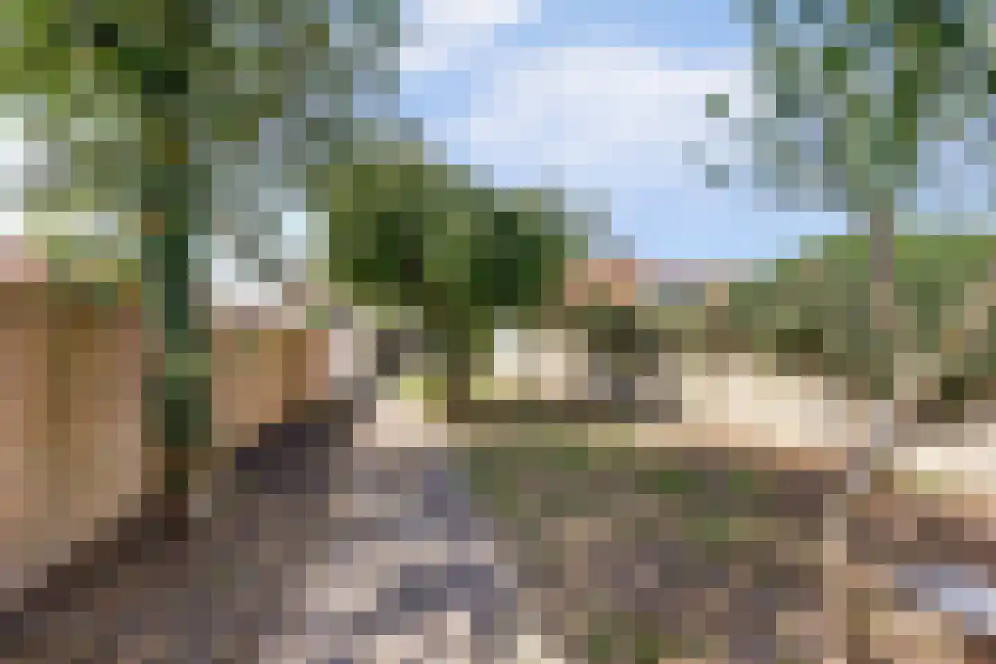 Brandestraat 28 Geertruidenberg thumbnail 42