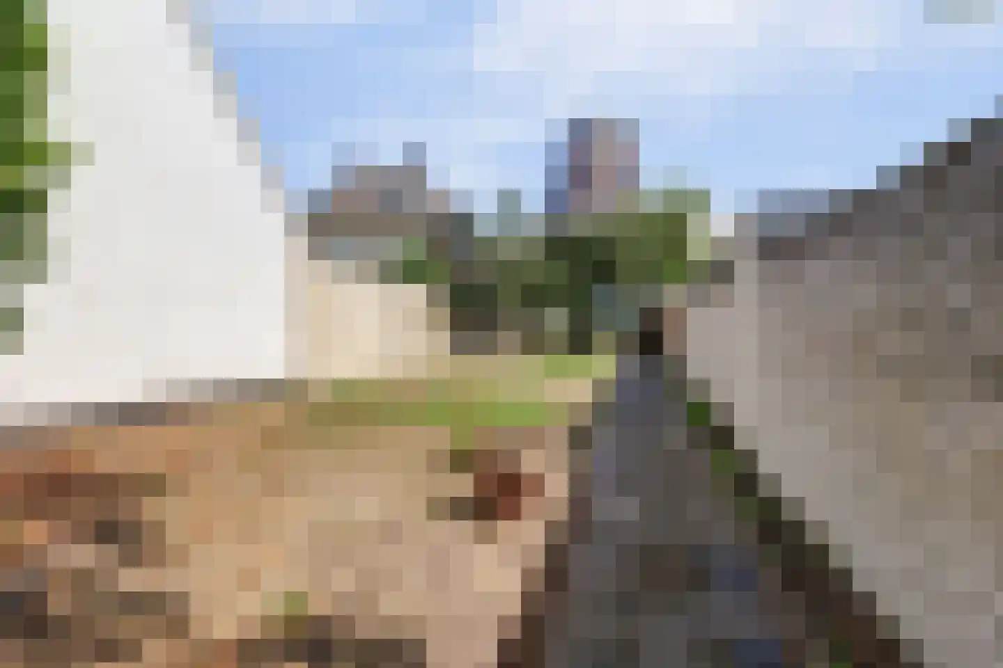 Brandestraat 28 Geertruidenberg thumbnail 43