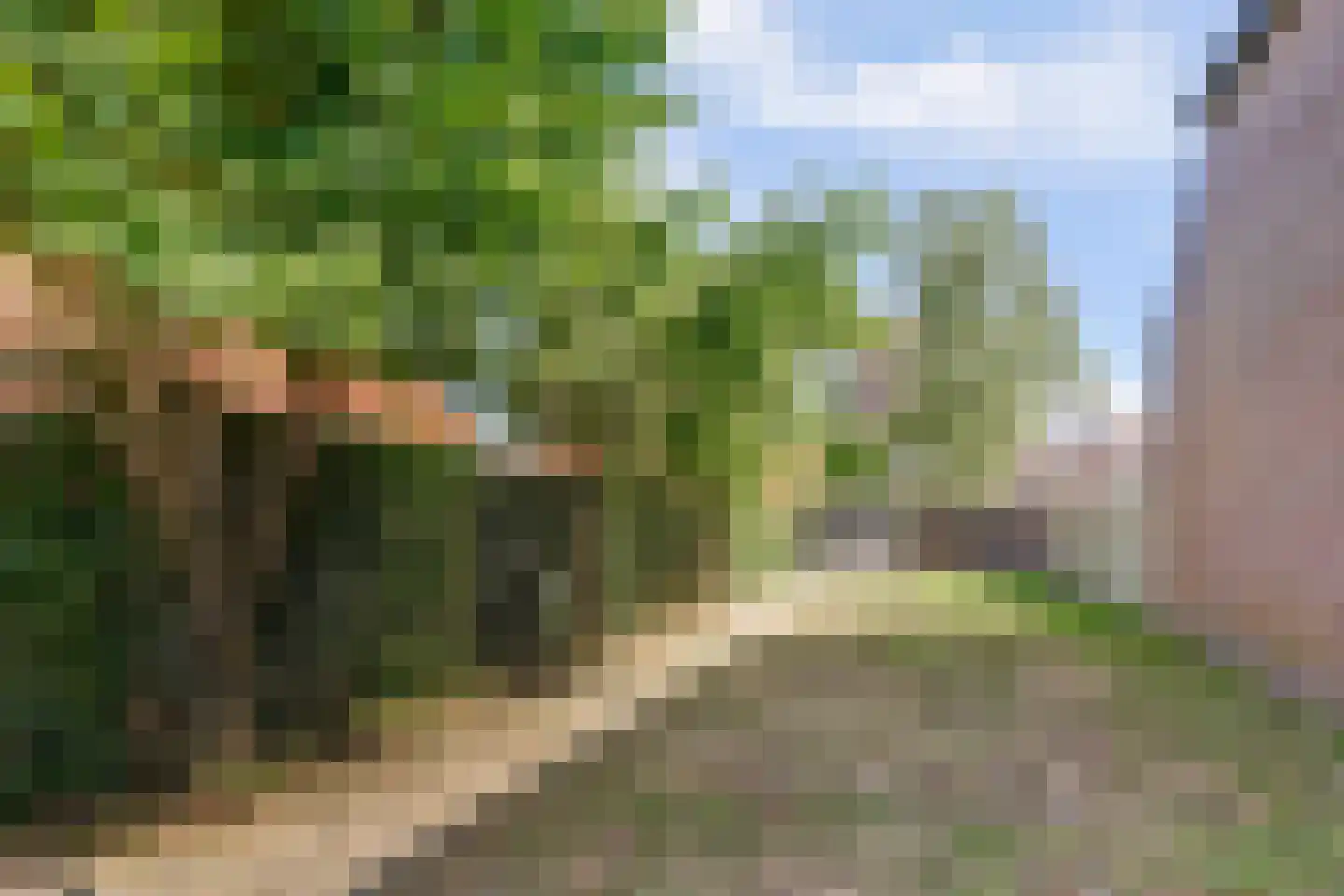 Brandestraat 28 Geertruidenberg thumbnail 47