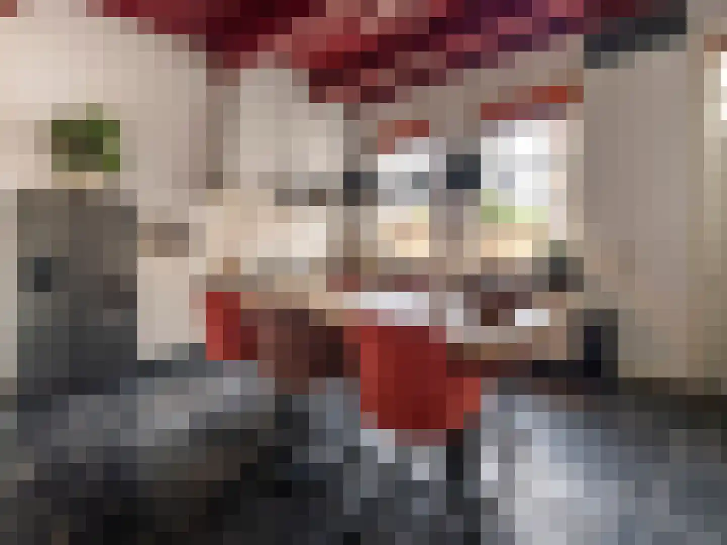 Brandestraat 30 Geertruidenberg thumbnail 10