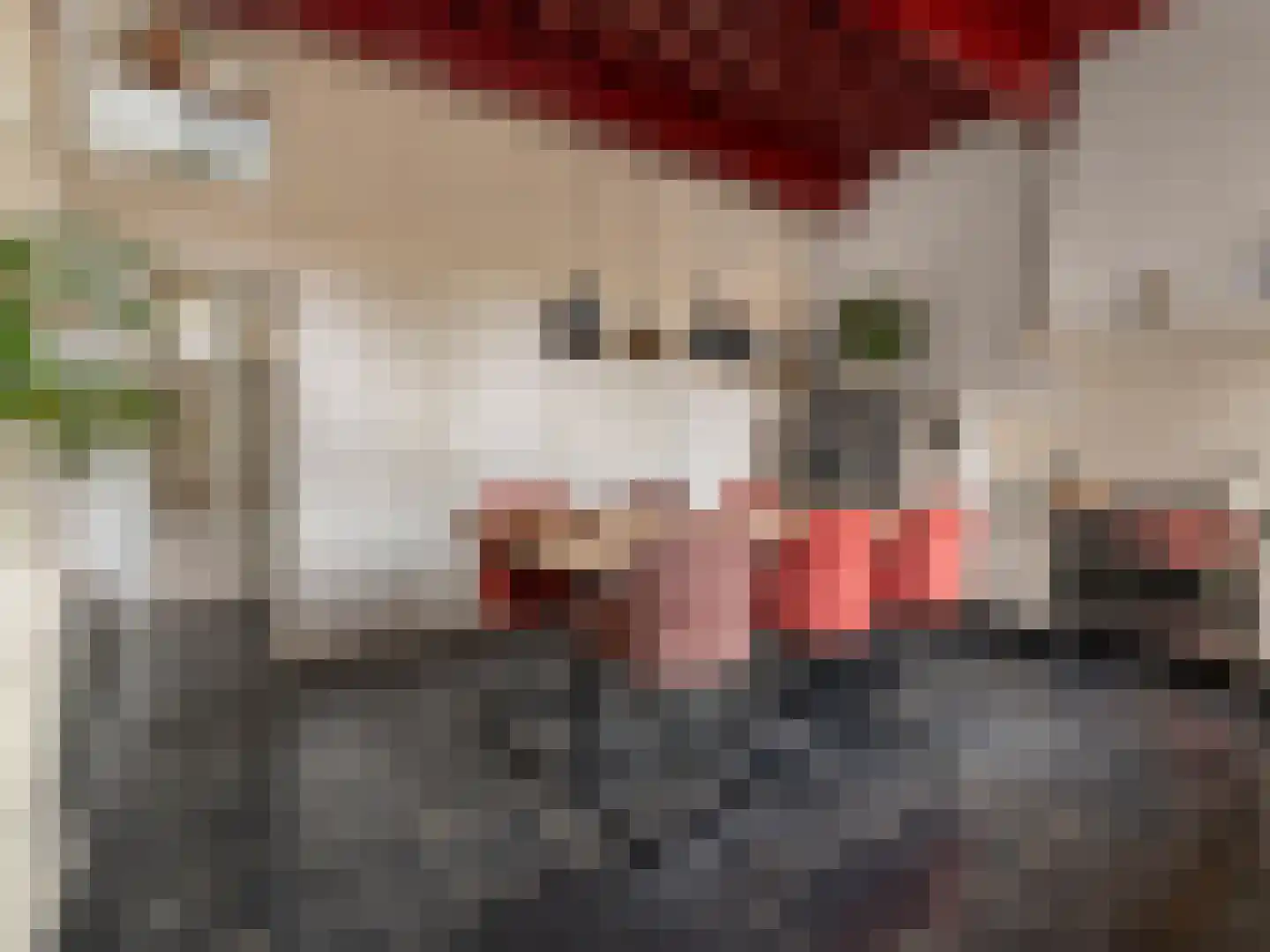 Brandestraat 30 Geertruidenberg thumbnail 11