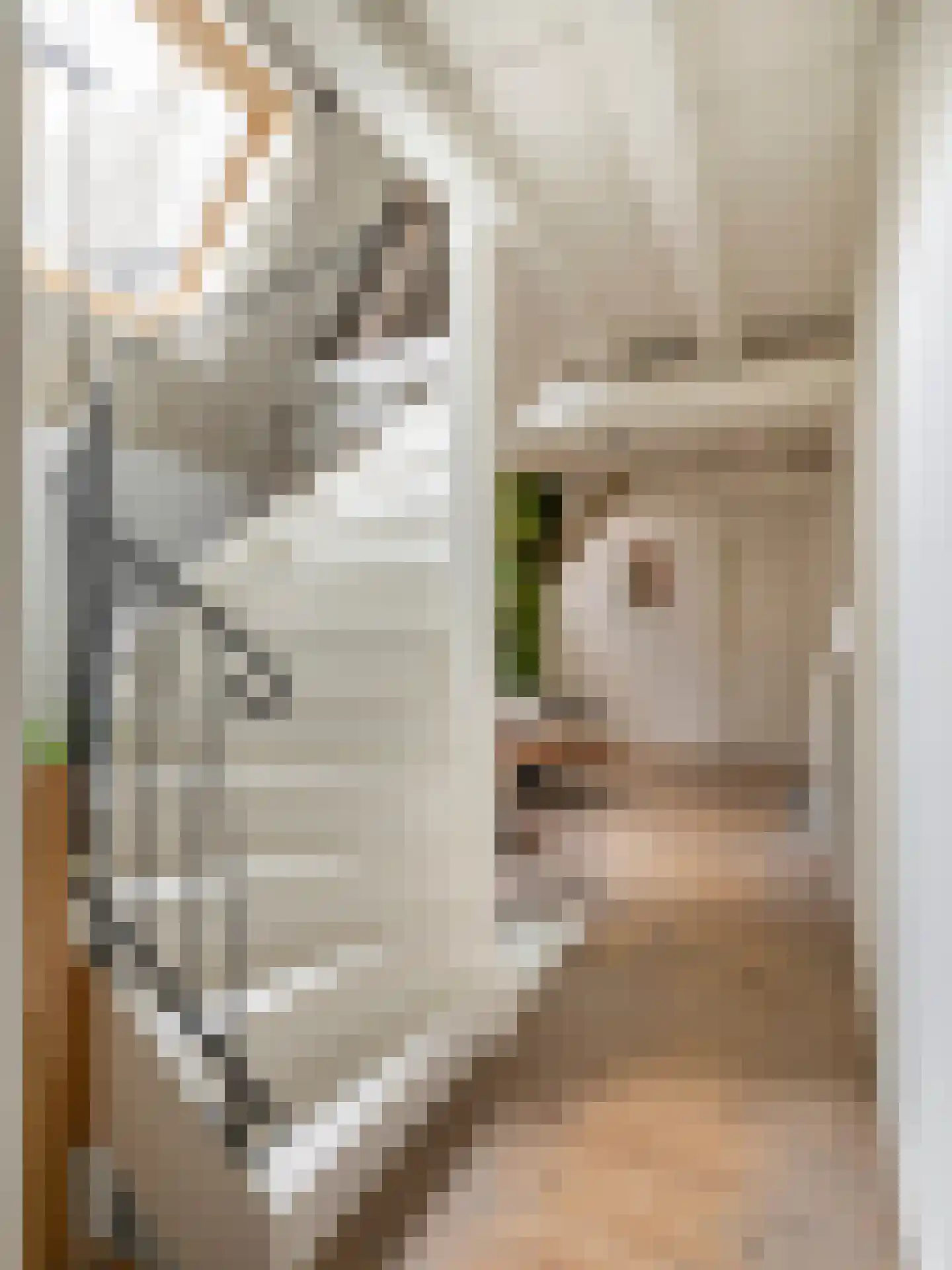 Brandestraat 30 Geertruidenberg thumbnail 13