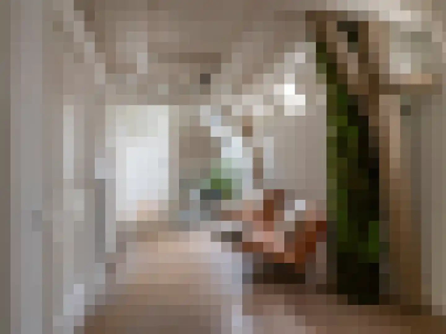 Brandestraat 30 Geertruidenberg thumbnail 14