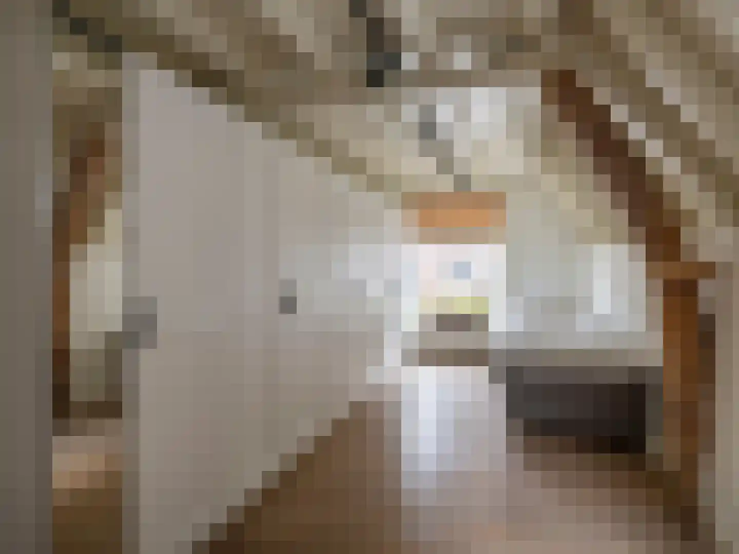 Brandestraat 30 Geertruidenberg thumbnail 15
