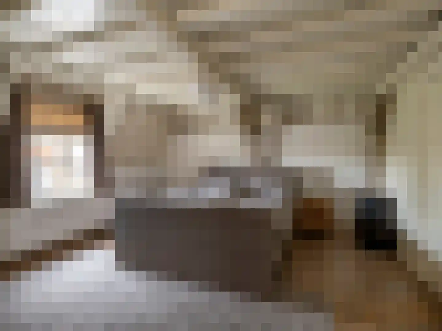 Brandestraat 30 Geertruidenberg thumbnail 16