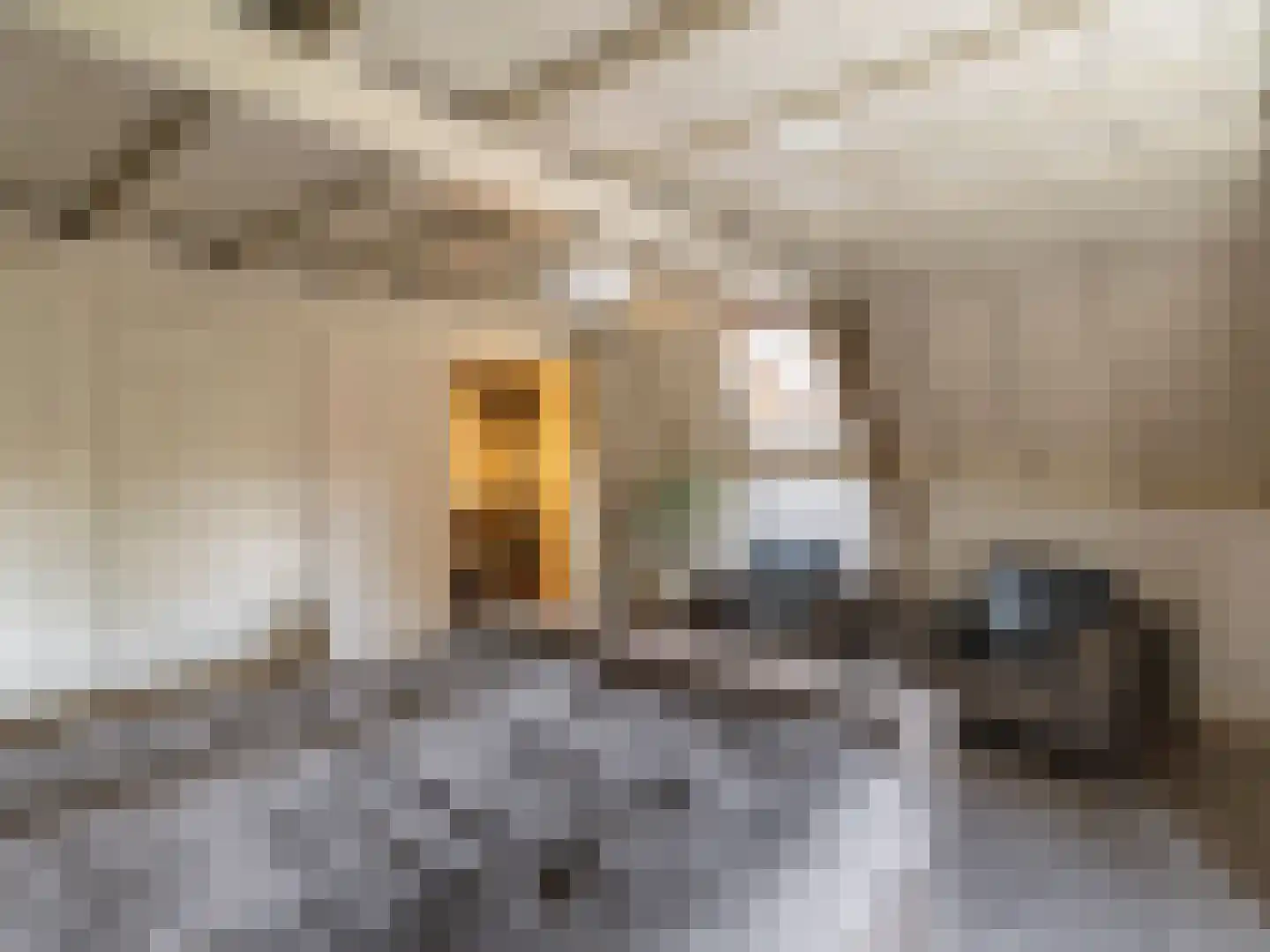 Brandestraat 30 Geertruidenberg thumbnail 17