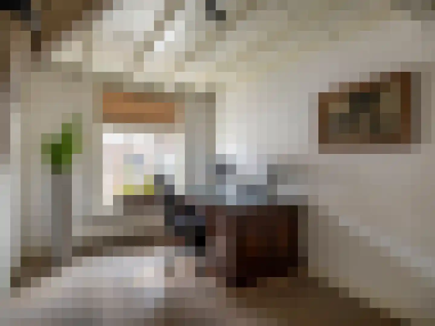 Brandestraat 30 Geertruidenberg thumbnail 18