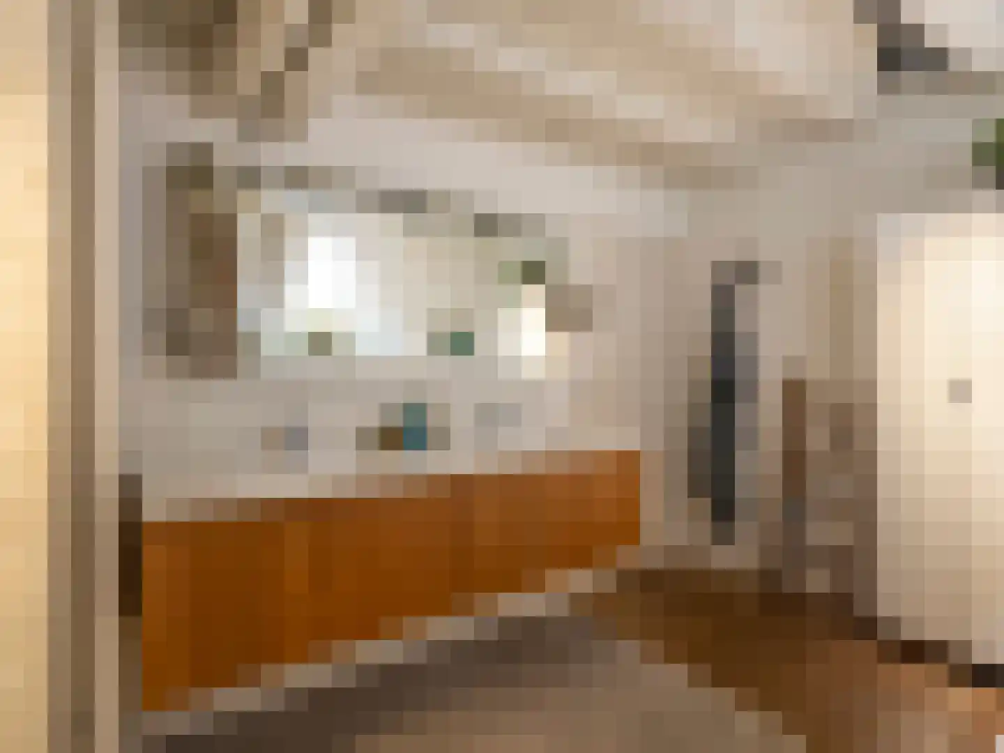 Brandestraat 30 Geertruidenberg thumbnail 20