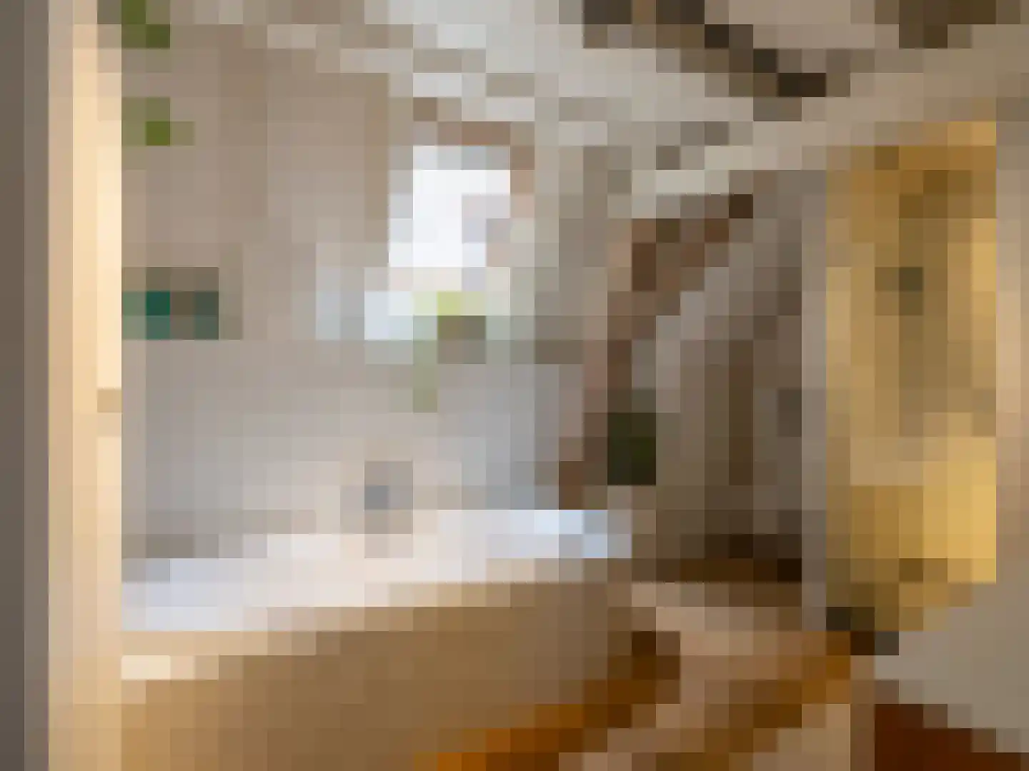 Brandestraat 30 Geertruidenberg thumbnail 21