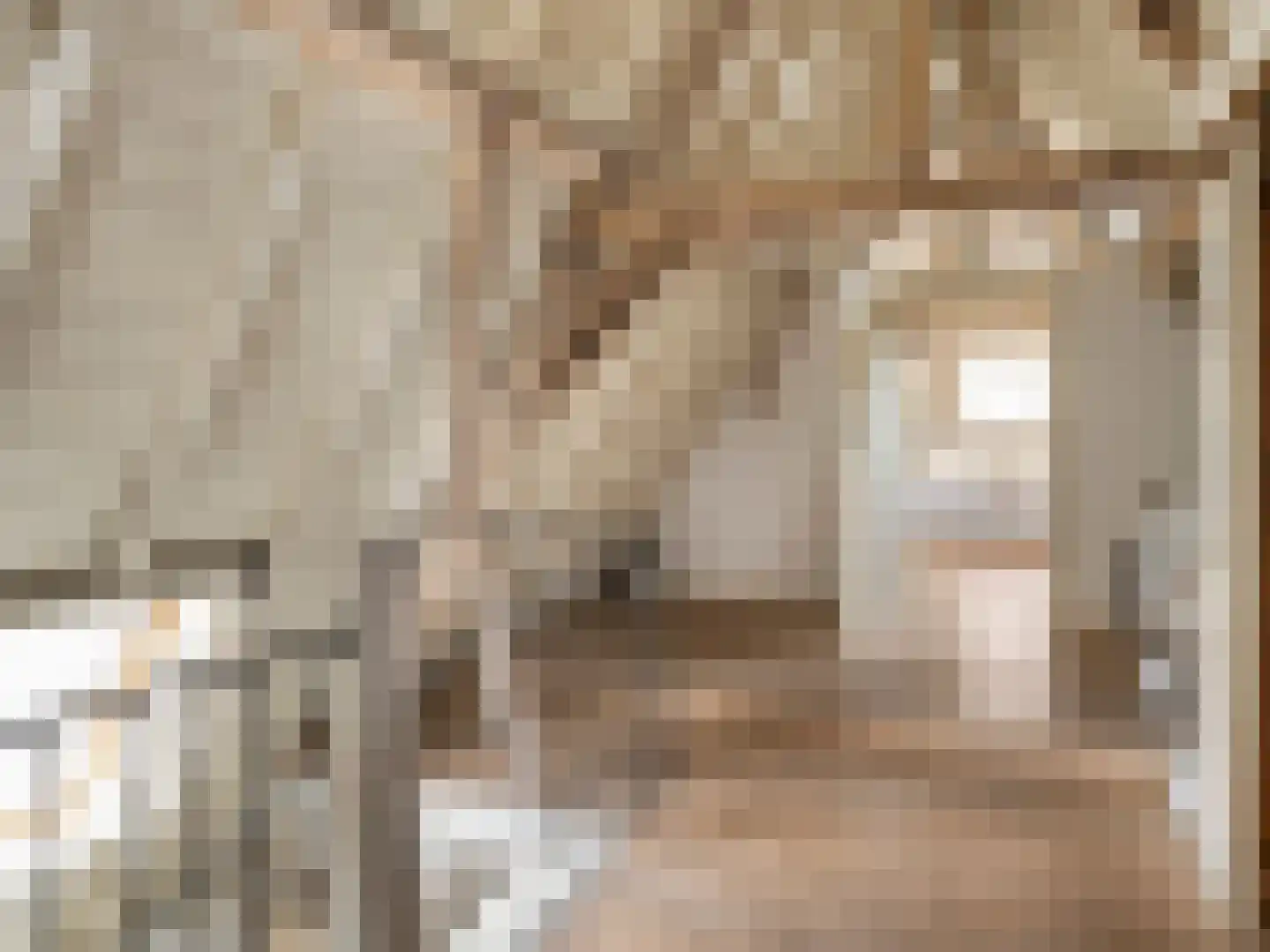 Brandestraat 30 Geertruidenberg thumbnail 22