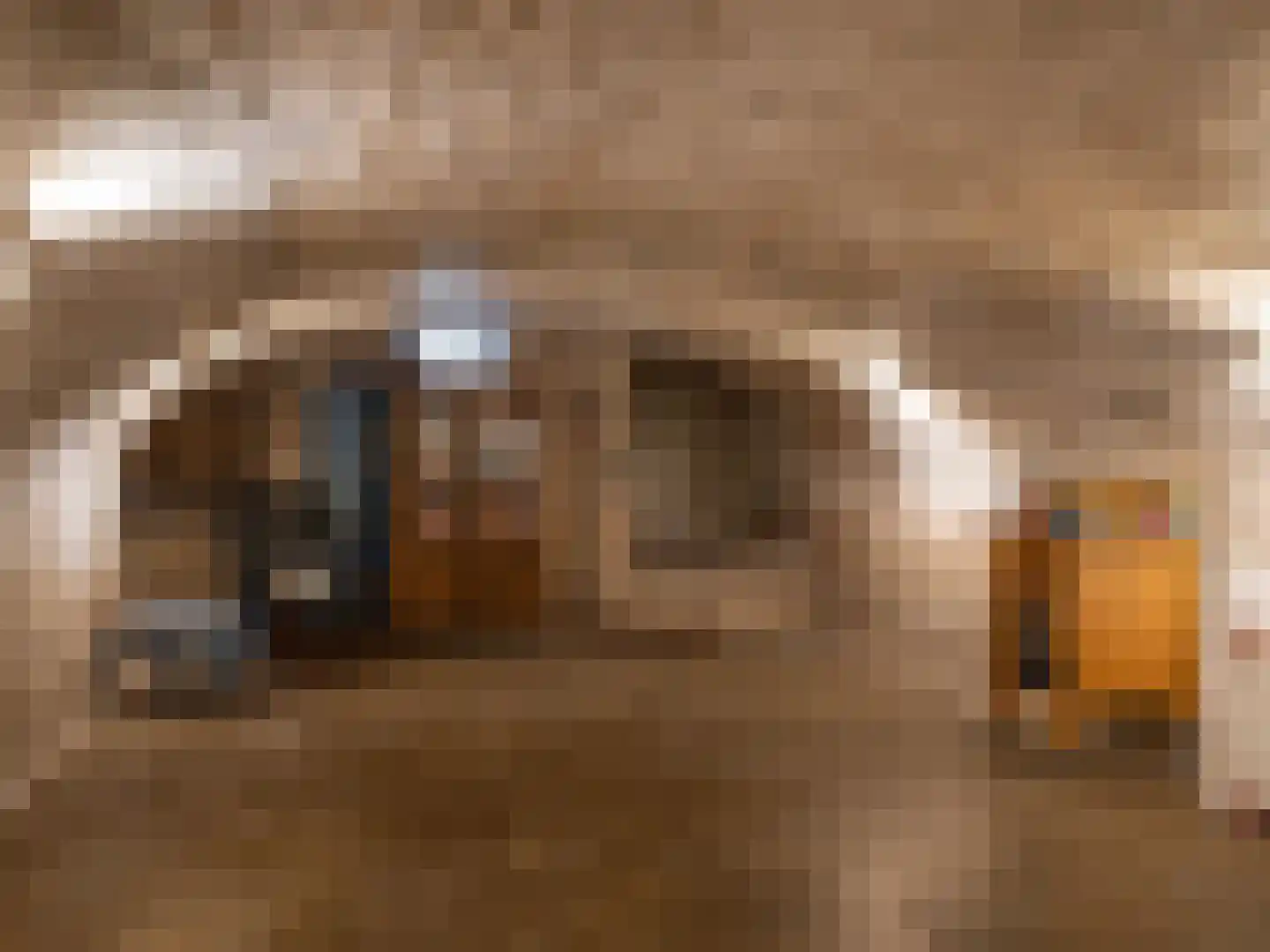 Brandestraat 30 Geertruidenberg thumbnail 24