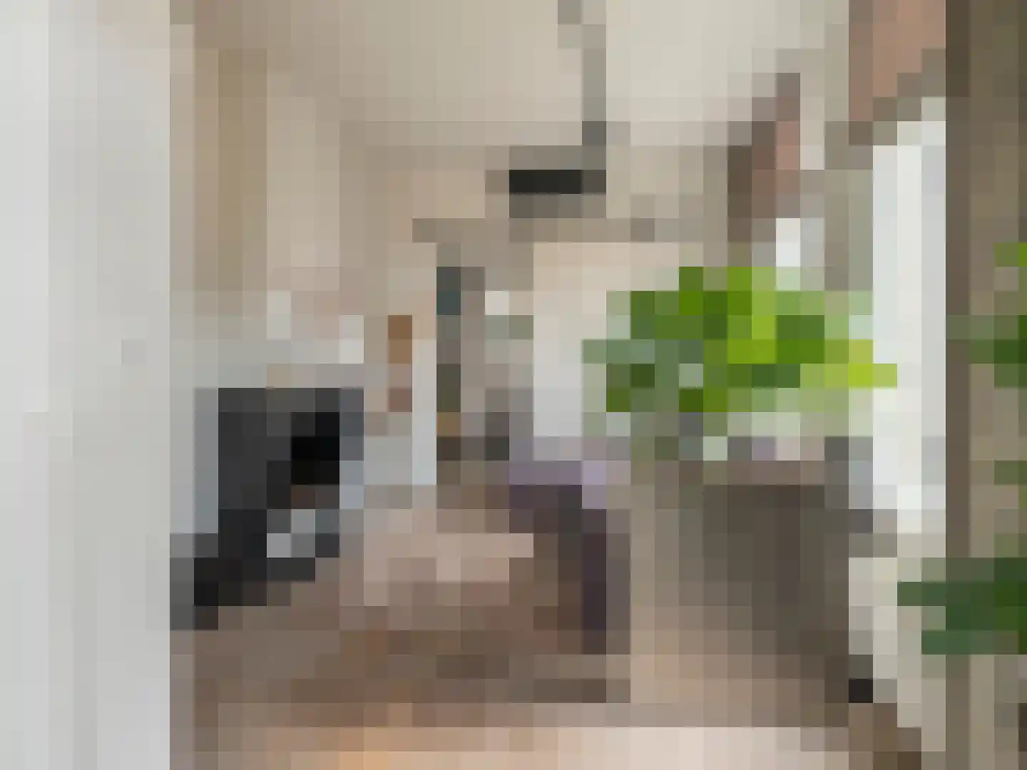 Brandestraat 30 Geertruidenberg thumbnail 26