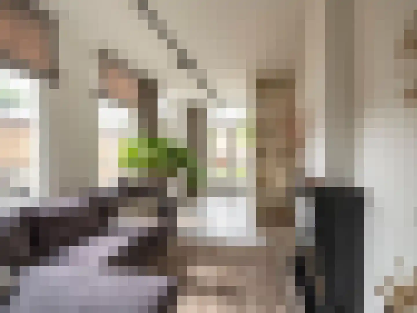 Brandestraat 30 Geertruidenberg thumbnail 27