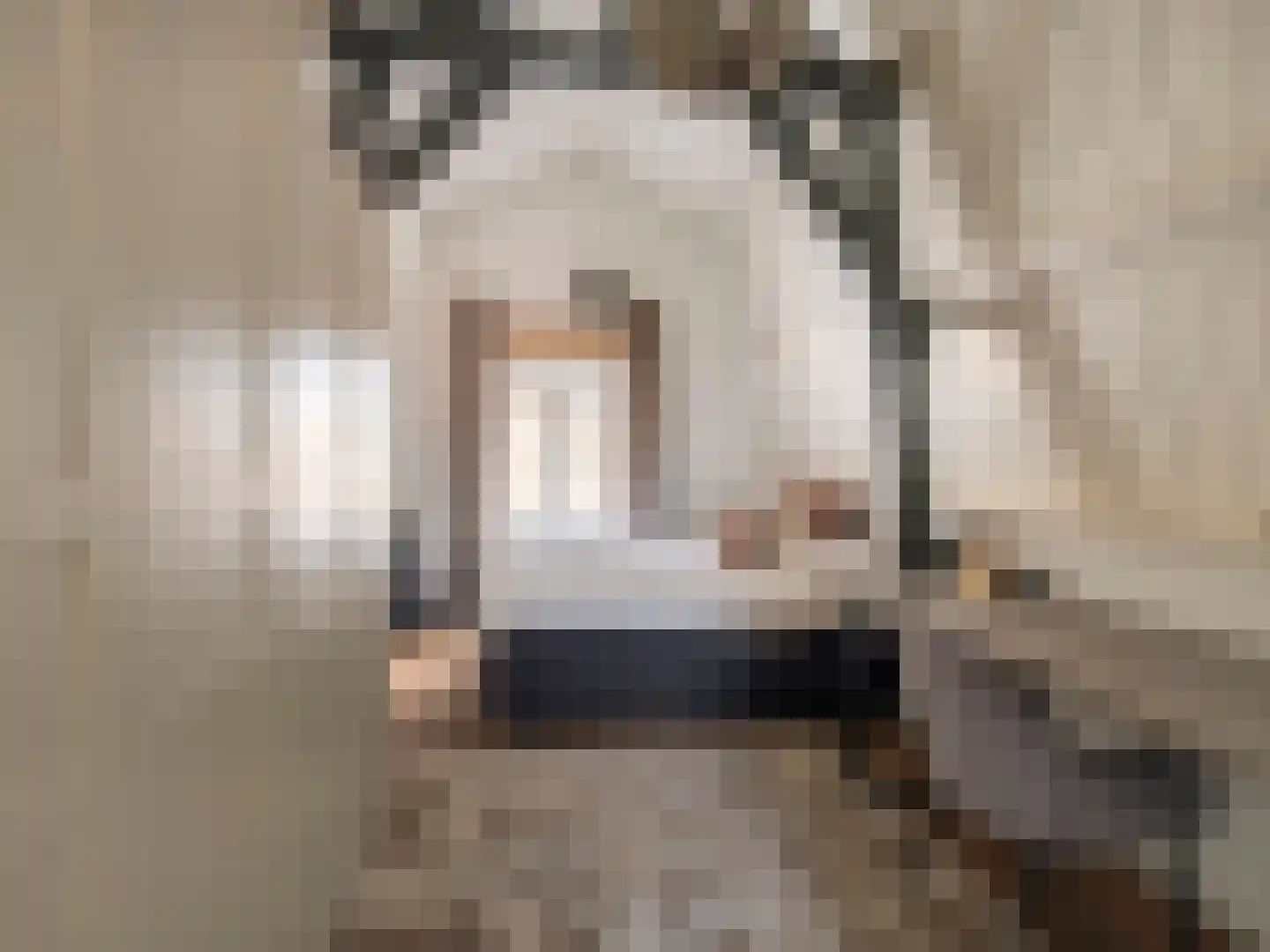 Brandestraat 30 Geertruidenberg thumbnail 29